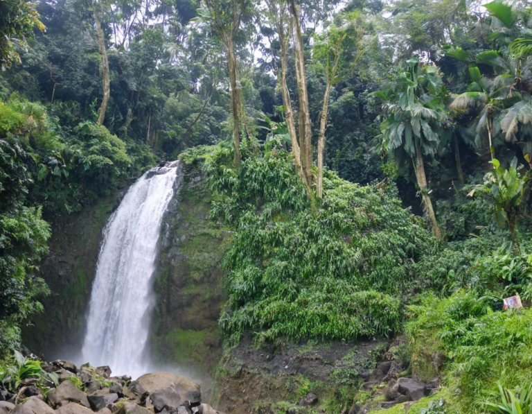 2. Air Terjun Curug Cimahi: Pesona Air Terjun di Pinggir Kota