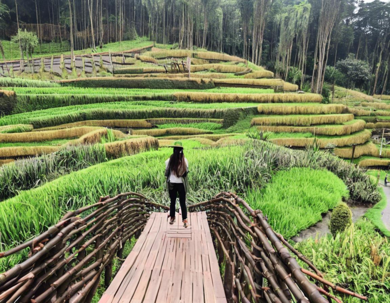 Menikmati Keindahan Alam di Dusun Bambu Lembang