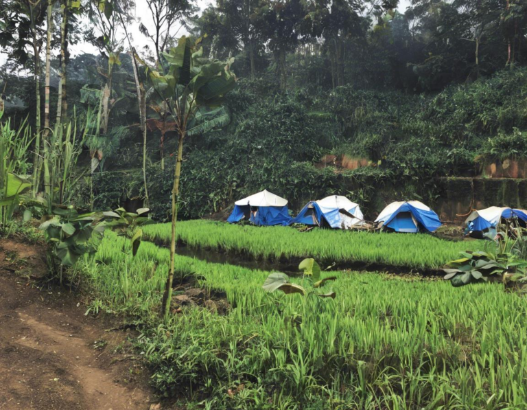 Pendahuluan: Mengapa Camping di Sekitar Bandung?