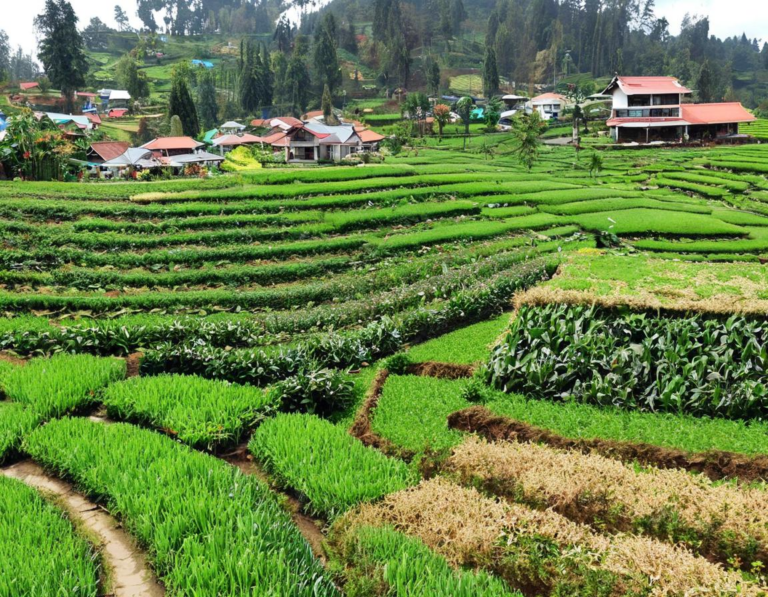 Tips Hemat Berlibur ke Farm House Lembang