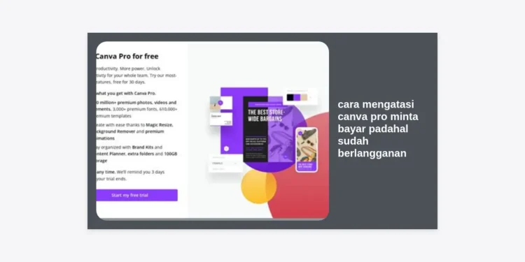 12 Cara Mengatasi Canva Pro Minta Bayar Padahal Sudah Berlangganan (Update 2024)