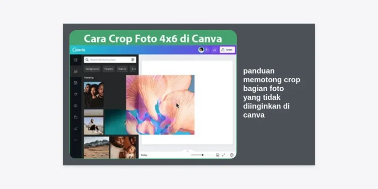 Panduan Memotong Crop Bagian Foto yang Tidak Diinginkan di Canva: Tutorial Terlengkap 2024