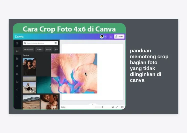 Panduan Memotong Crop Bagian Foto yang Tidak Diinginkan di Canva: Tutorial Terlengkap 2024