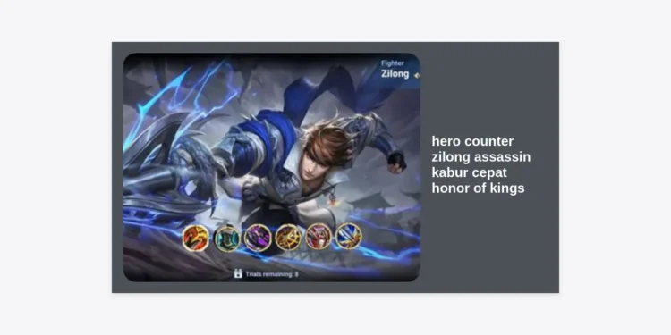 15 Hero Counter Zilong Assassin Kabur Cepat Honor of Kings Terbaik 2024