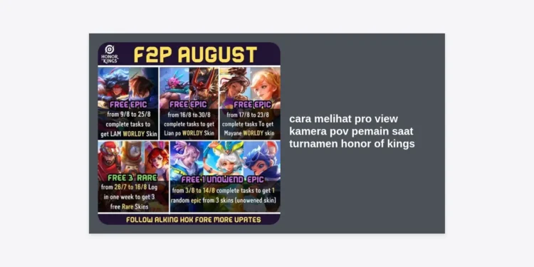 Panduan Lengkap Cara Melihat Pro View Kamera POV Pemain Saat Turnamen Honor of Kings