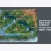 Panduan Posisi Ward Vision Letak Bush Rumput Penting Honor of Kings: Strategi Map Control Ala Pro Player