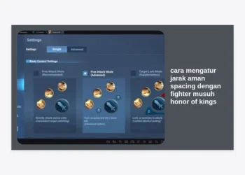 Panduan Pro: Cara Mengatur Jarak Aman Spacing dengan Fighter Musuh Honor of Kings