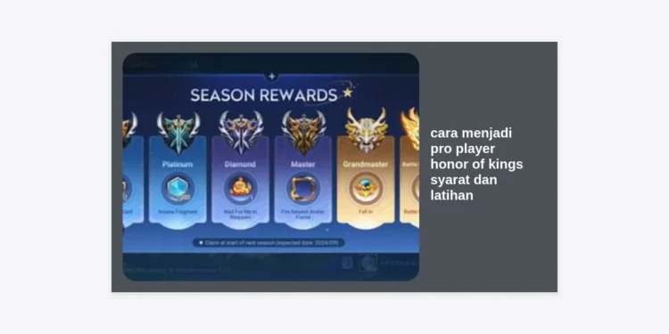 Panduan Lengkap Cara Menjadi Pro Player Honor of Kings: Syarat dan Latihan Intensif