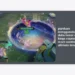 Panduan Menggunakan Dolia Honor of Kings Roamer: Cara Reset Cooldown Ultimate Teman