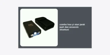 Rahasia Menang Telak: Strategi Combo Hou Yi Stun Jarak Jauh dan Assassin Eksekusi di Honor of Kings